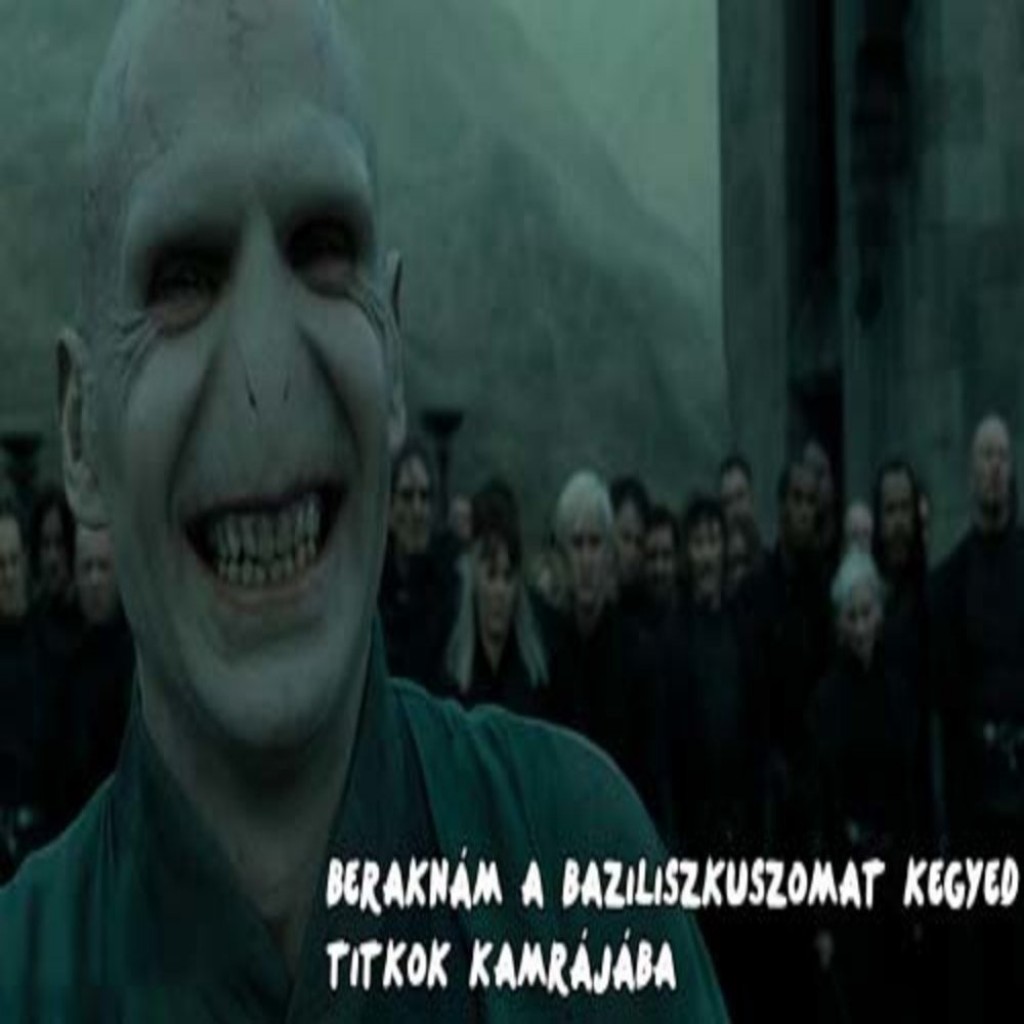 _gy-udvarol-Voldemort_converted_converted
