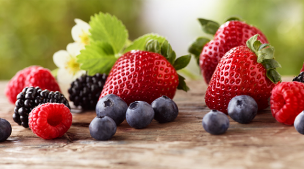 1.0_OurBerries_header_01