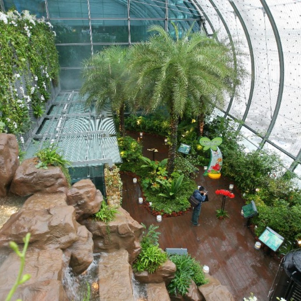 Changi-Airport-Butterfly-Garden (1)