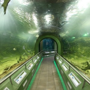 Tisza-tavi-okocentrum-akvariumrendszer1
