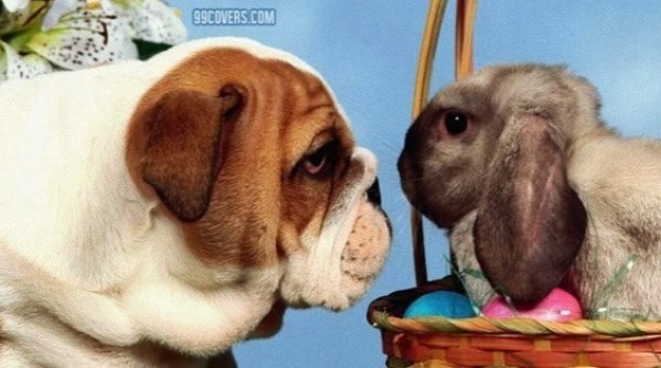dog-and-bunny-facebook-cover-timeline-banner-for-fb