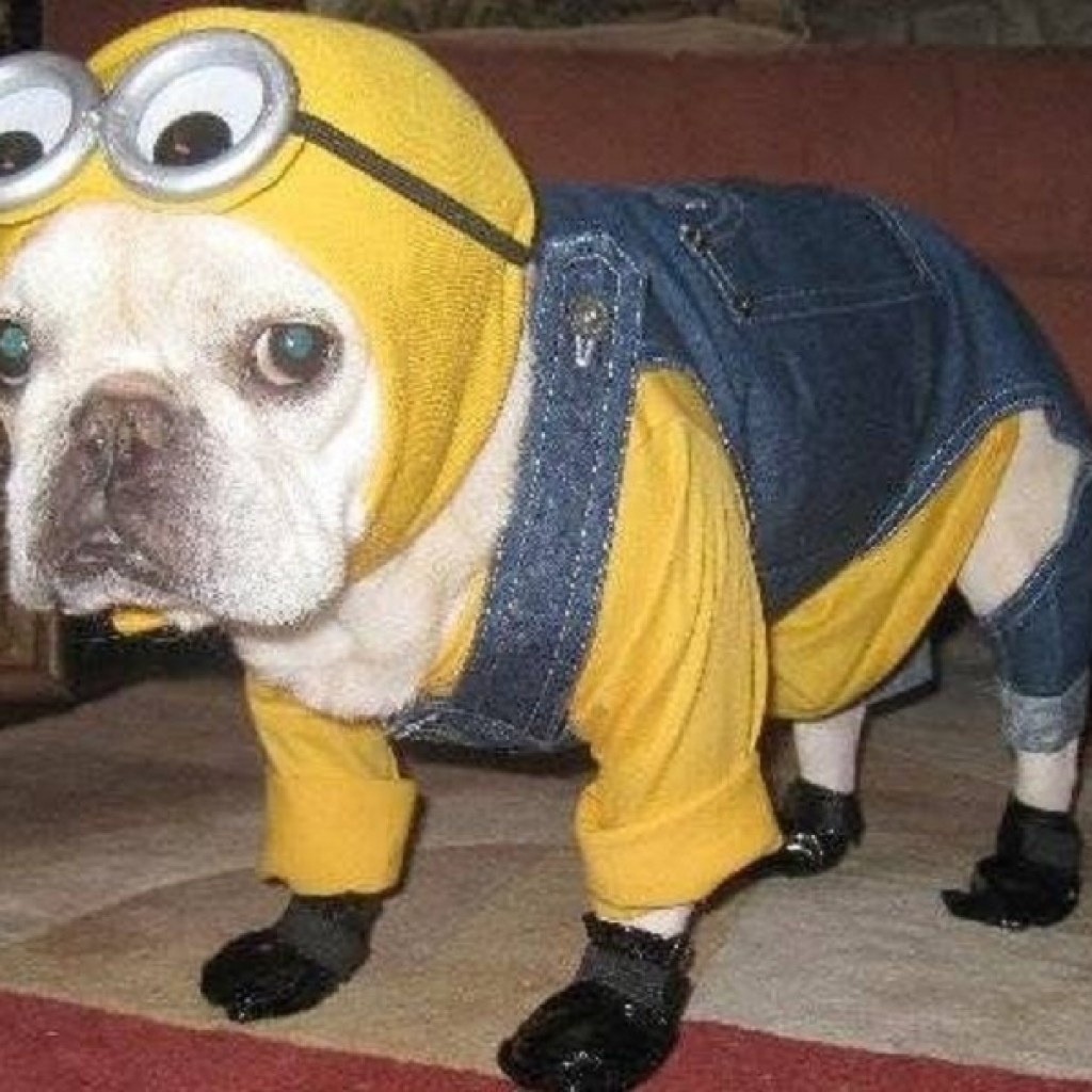Despicable-Me-Halloween-Costume