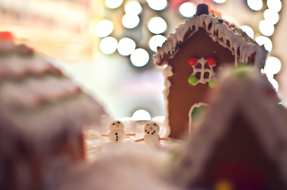 Christmas-Photography-Tumblr