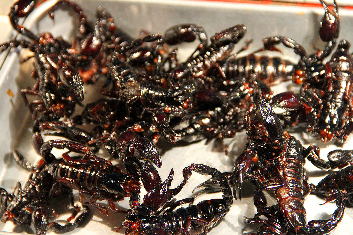 Egyél fekete skorpiót!