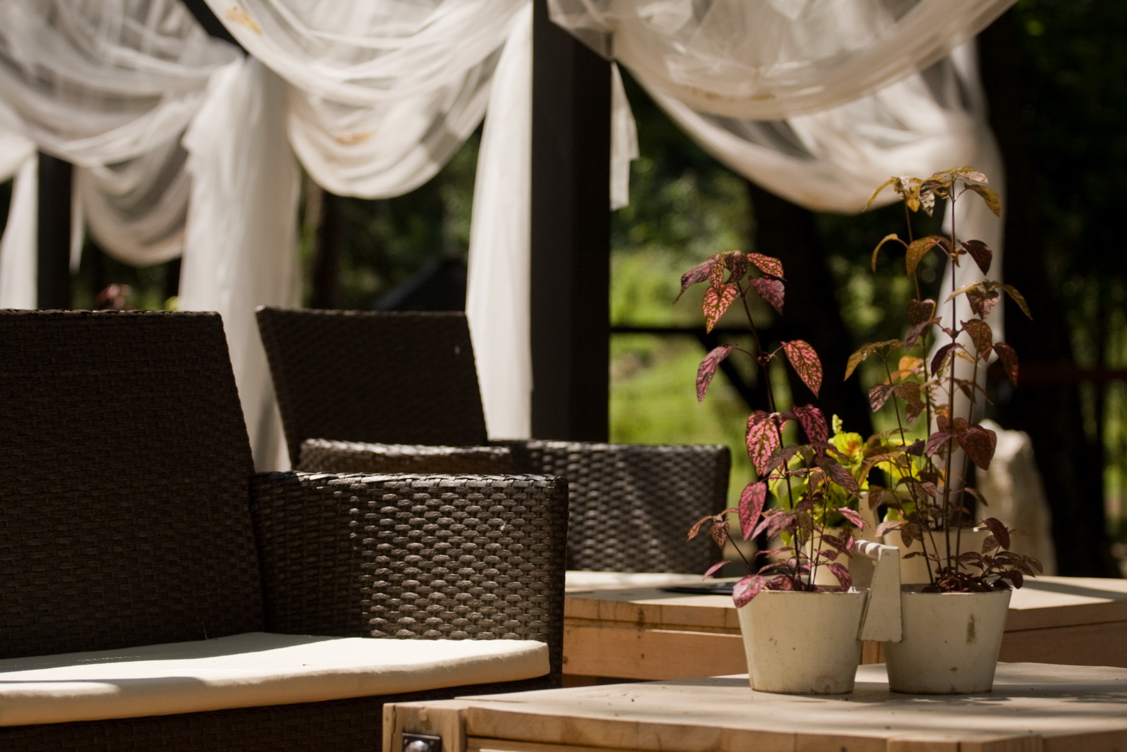 Fogyatékos gyerekek az Oxigén Hotelben