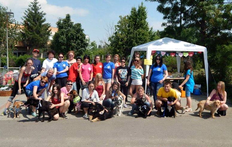 Tápgyűjtést szerveztek, elütött kiskutyát mentettek – Kéz A Mancsért!