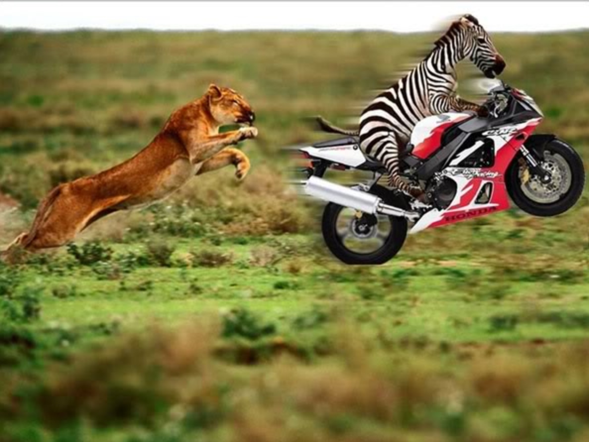 Megőrjít a lakótársam, ments ki innen!