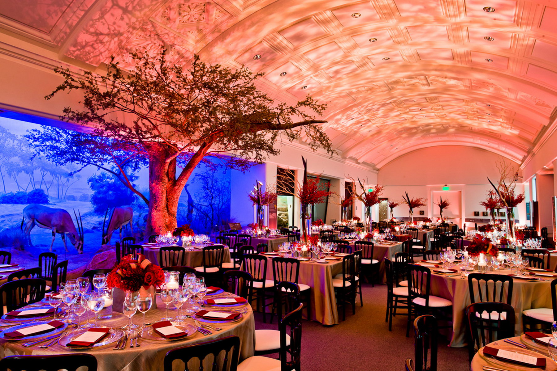 Jó étvágyat a hörcsögpatkányhoz! Veszélyes helyszínek III.