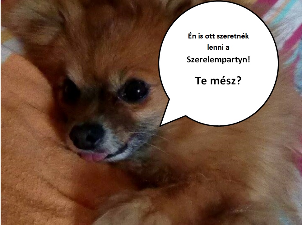 Jockey is szeretne a Szerelempartyn bulizni!