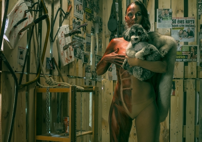 Celebek az állatvédelemért