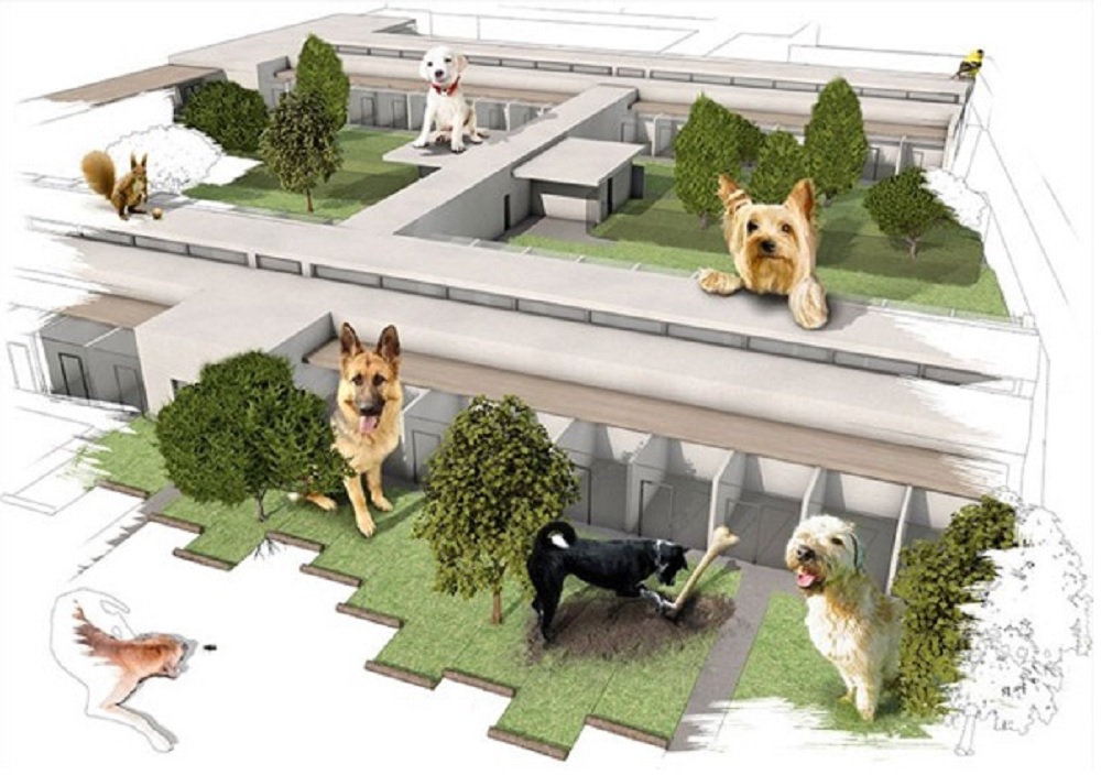 Új állatmenhely Bécsben