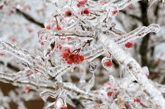 Környezetünk érték, megóvása kötelesség