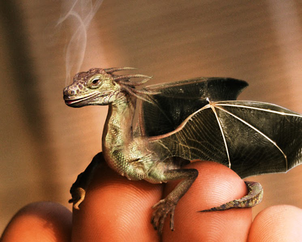 Sárkányokkal utaztunk a RadioTours műsorával