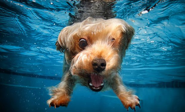 Te mennyit tudsz a vízről?