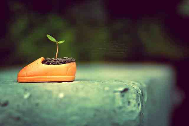 Mit tehettek a suliban a környezetért?