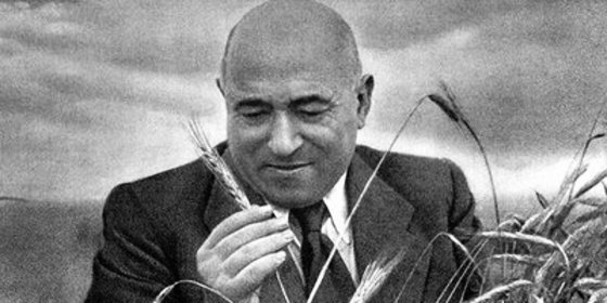 Itt vannak a történelem érettségi második részének esszéfeladatai! A Rákosi-korszak és II. József is a témák között