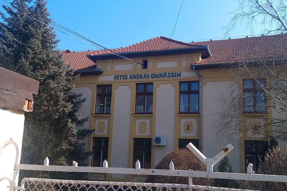 6 dolog, amire mindenképpen figyelj a biológiaérettségin! Egy szaktanár tanácsai!