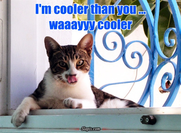 Még a telefonom is tudja, ki a legjobb arc