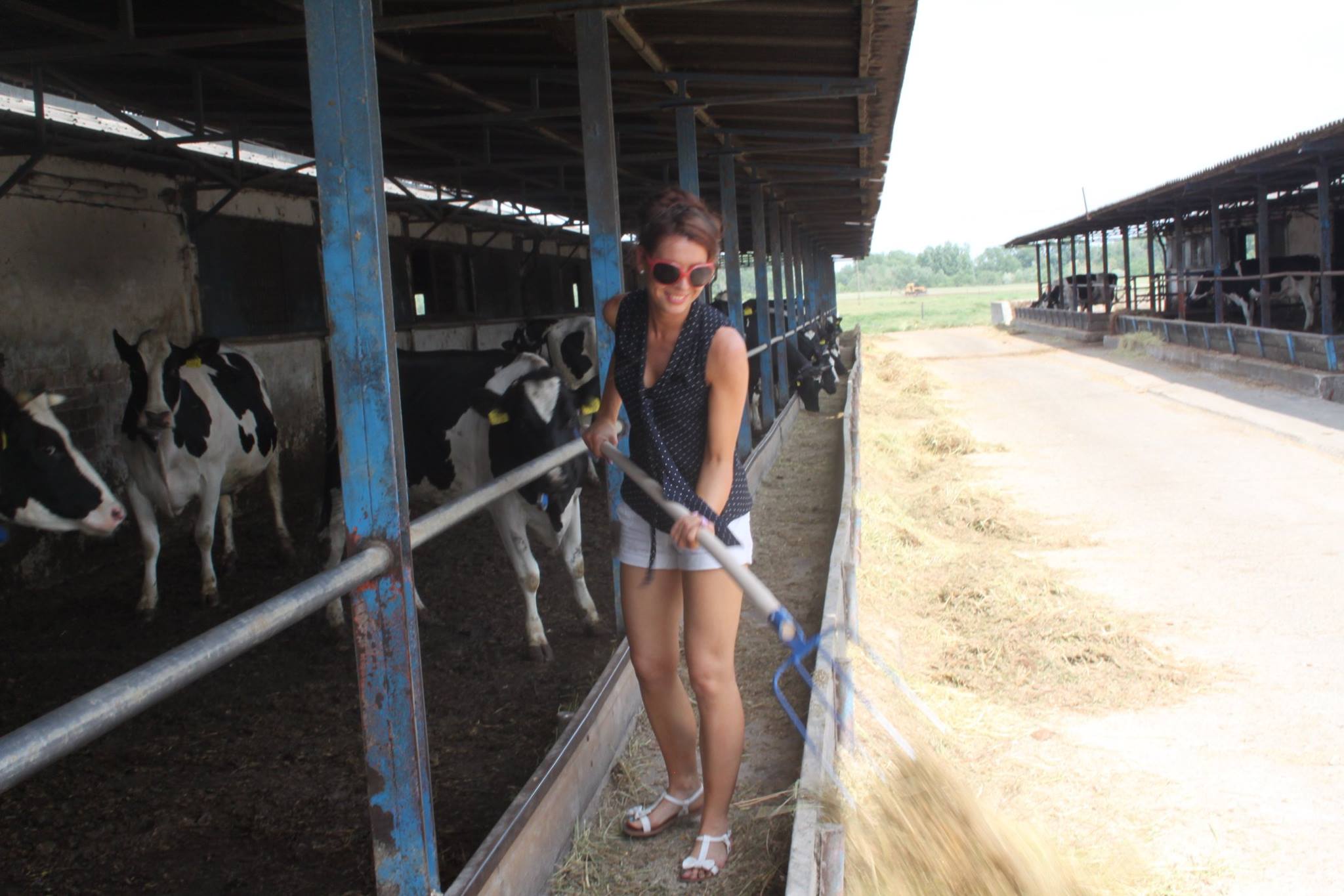 Középsuli a farmon!