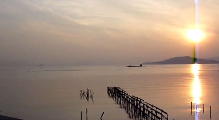 Bogarak falnak fel egy szigetet