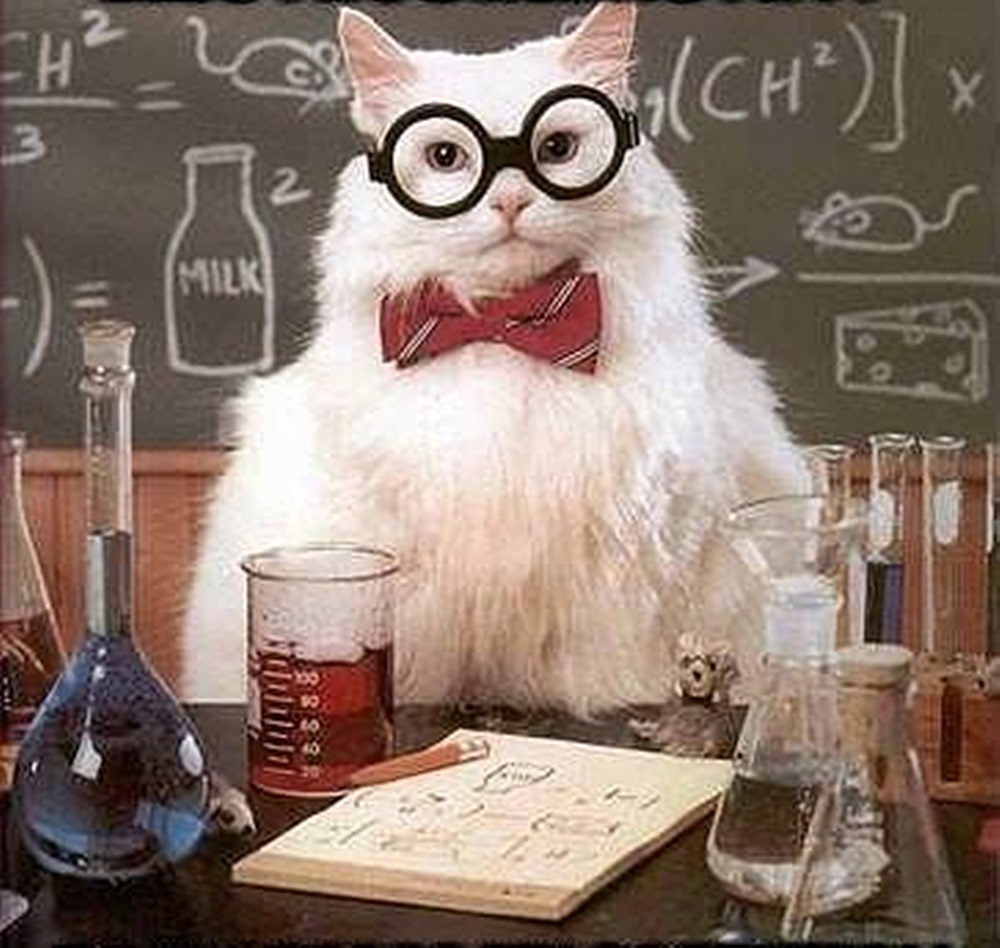 Az öt legzseniálisabb tinifeltaláló