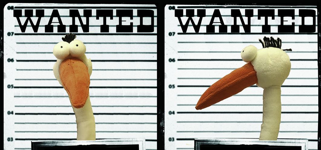 Lényeges tudnivalók gólyaként – Pont Ott Parti fórum