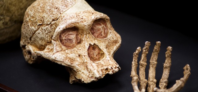 Újabb titkok kerültek elő a föld alól