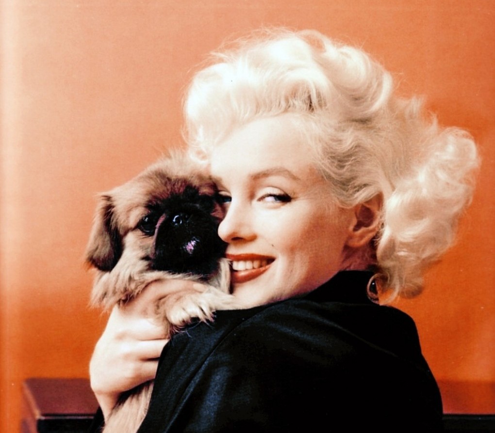 Ezt nem tudhattad még Hollywoodról