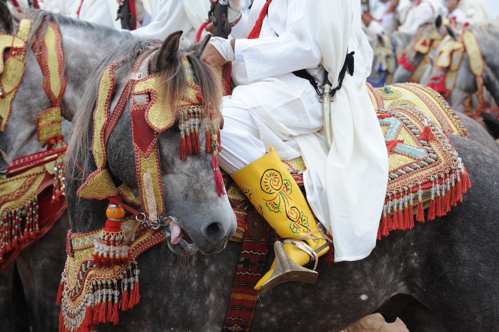 Magyarok a marokkói lovasversenyen
