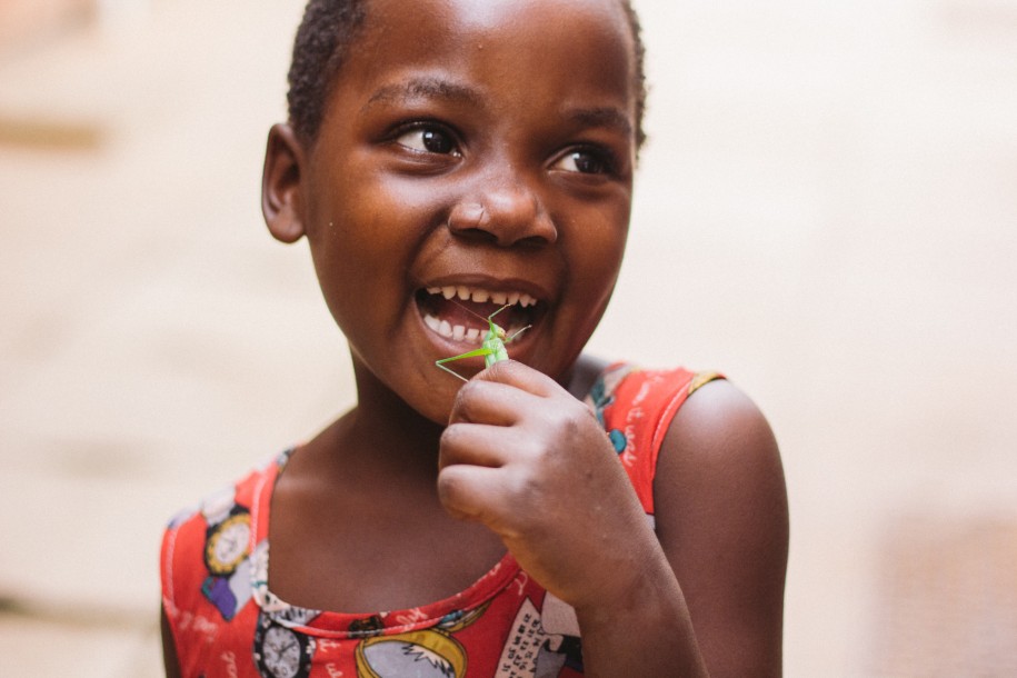 Íze, mint a ropogós csirkebőré – a sült szöcske