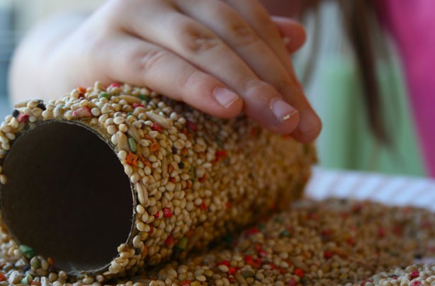 Ilyen madáretetőket még nem láttál