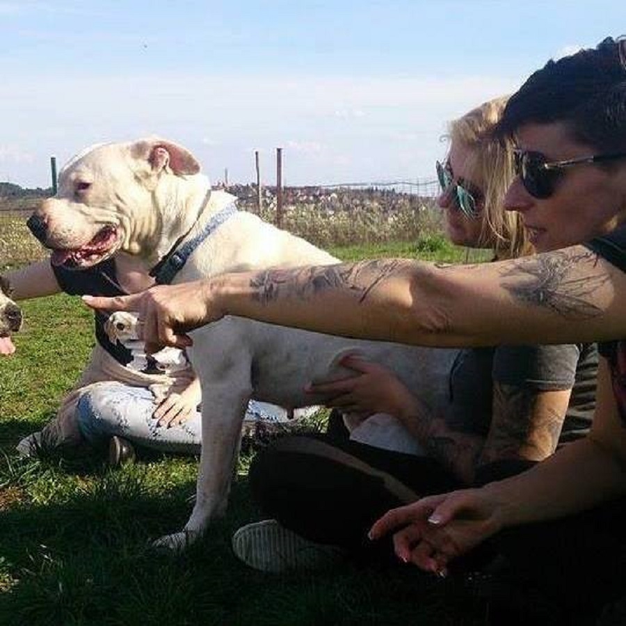 Egy nő, aki életeket ment