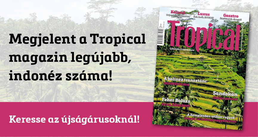 Lélektuning az Édenkertből