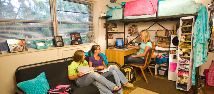 Albérlet vs kollégium?