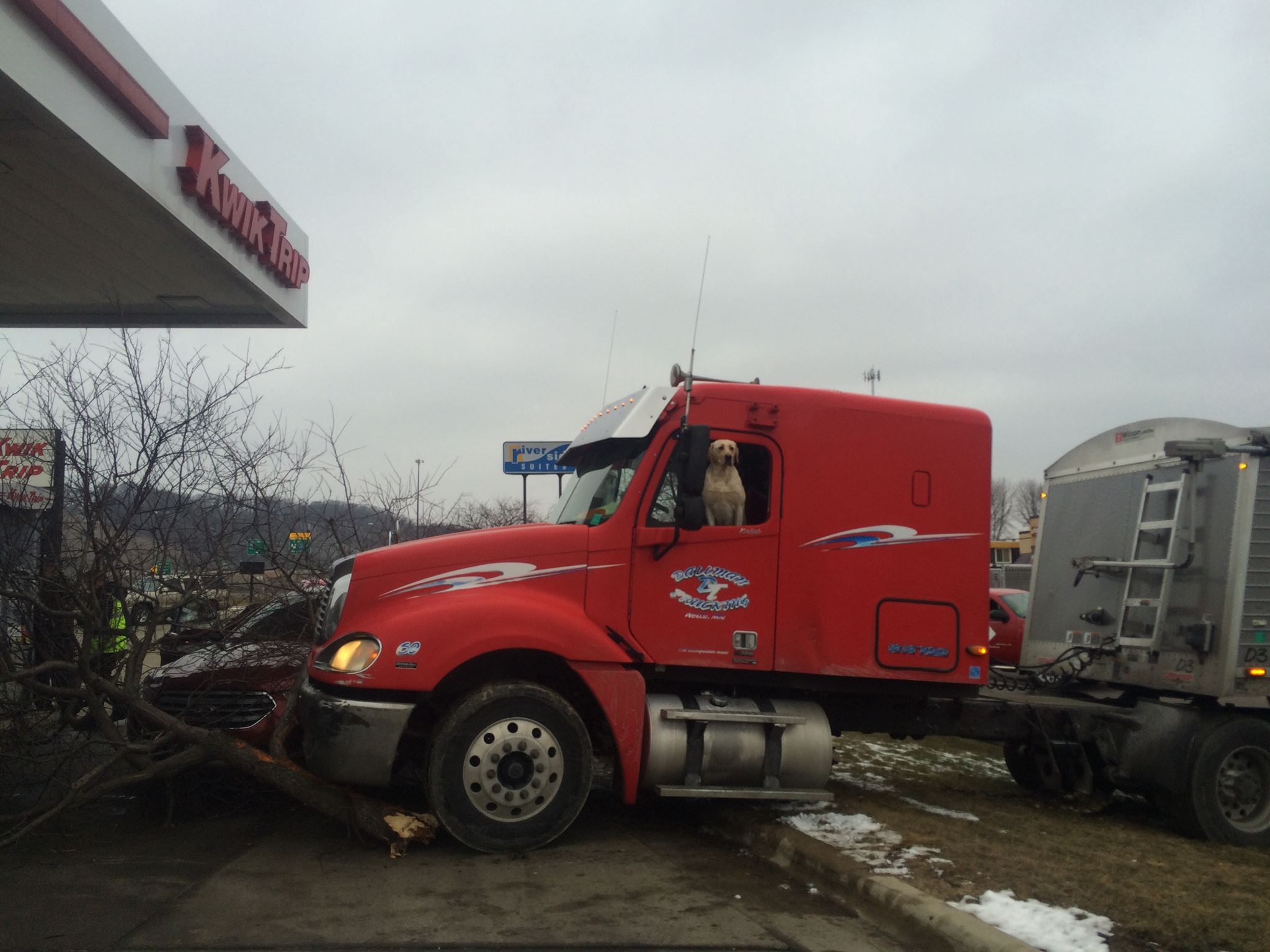 Kamionnal furikázott a kutya, össze is törte