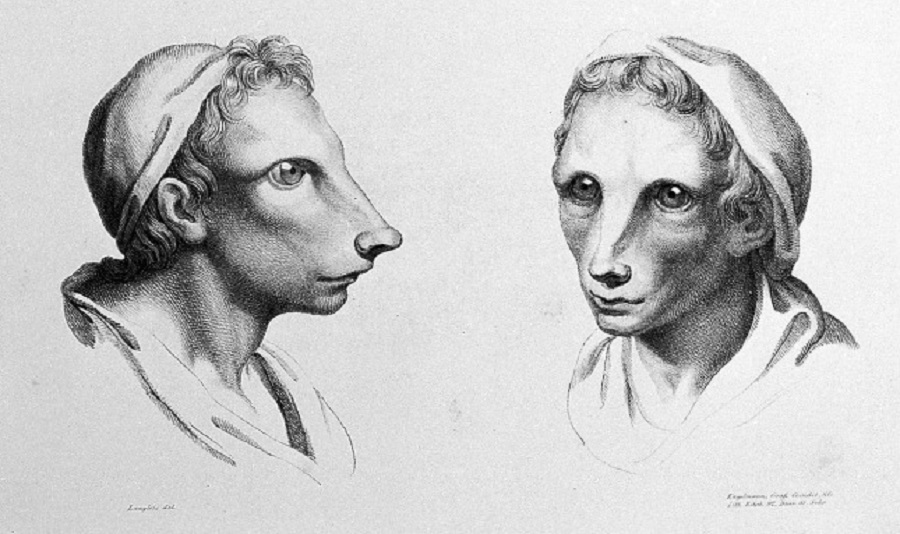 Így néznénk ki, ha más állatokból fejlődtünk volna ki