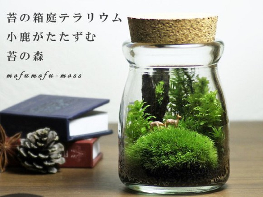 Legyen egy kis zöld az életünkben – divatos mini mohakertek Japánból