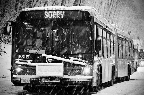 Bocsánat! Sajnálom! – Miért olyan nehéz kimondani?