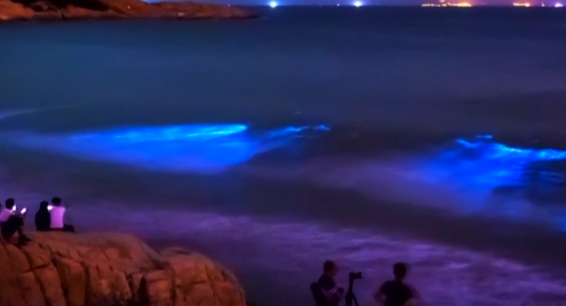 A tenger könnyei – videó