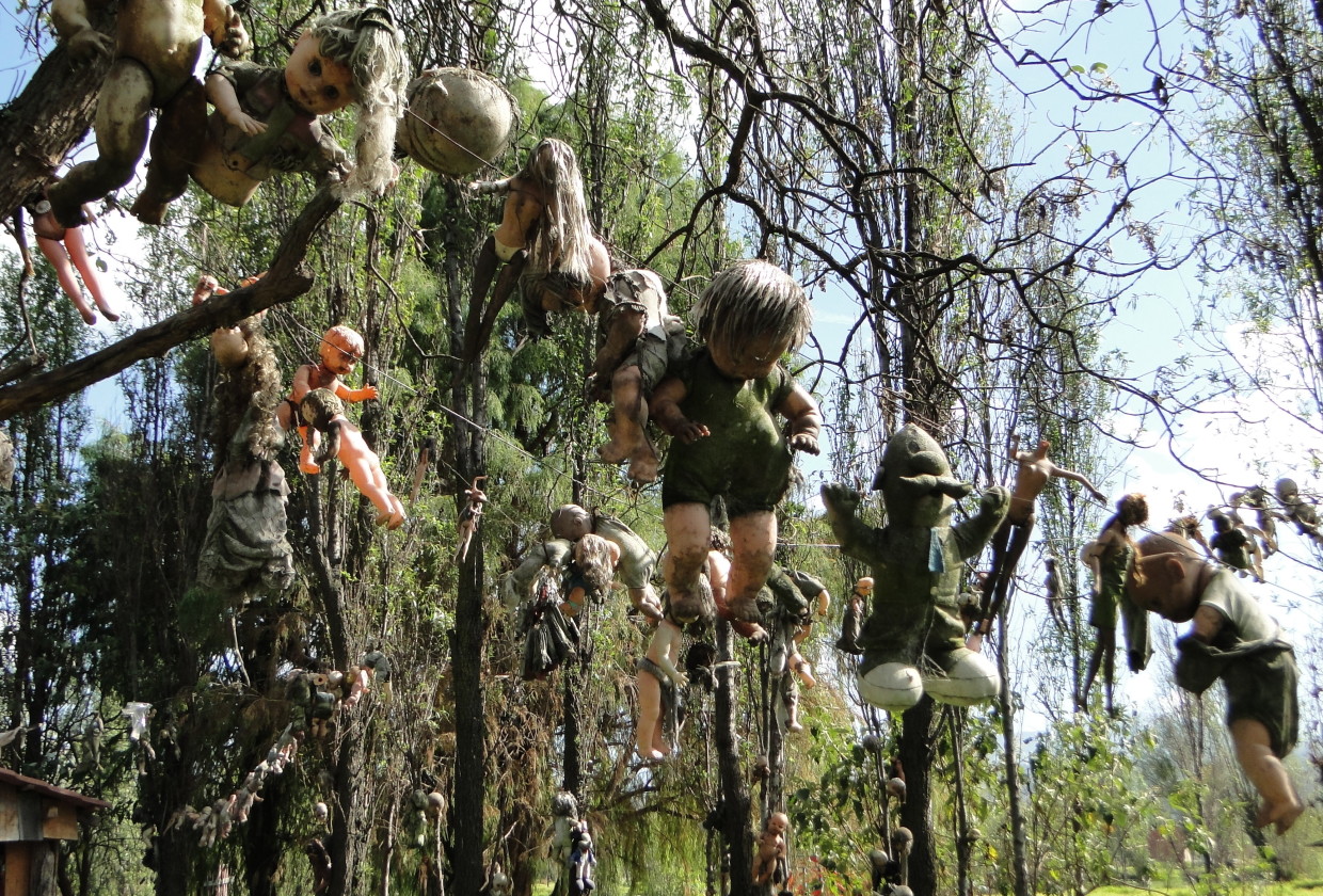 Жуткие места в мире. Джулиан Сантана Баррера остров кукол. Остров кукол (Island of the Dolls), Мексика. Остров кукол - ла Исла де ла Мюнека. Остров погибших кукол в Мексике.