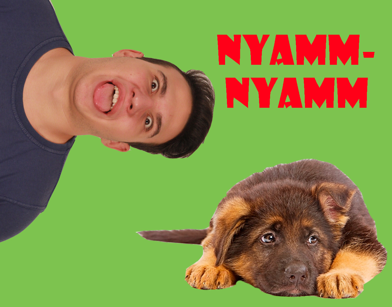 Kutyaevős kérdezz-felelek Bendével és Eszterrel