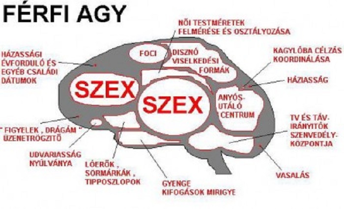 Férfiképző helyett asszonyképző induljon!