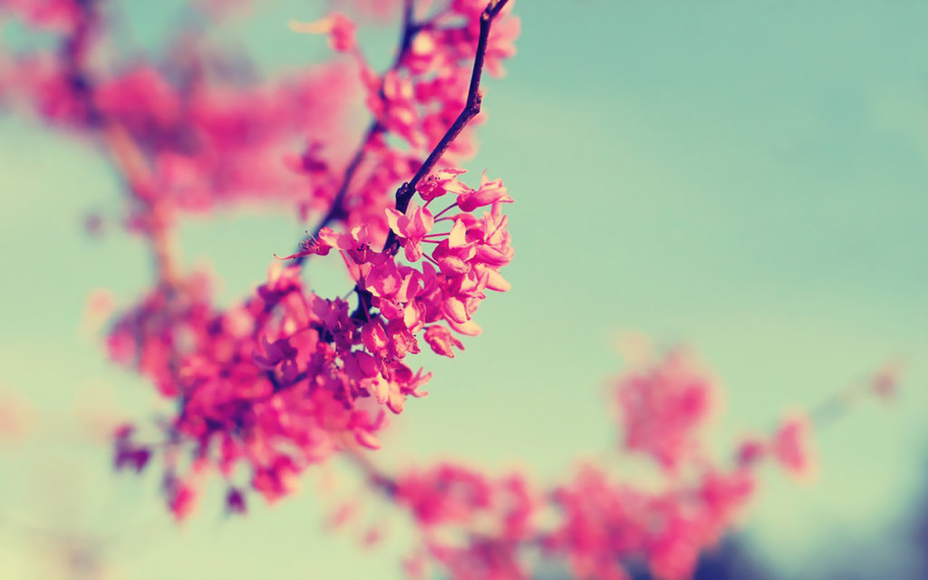 Mit jelent rózsaszínben látni a világot?