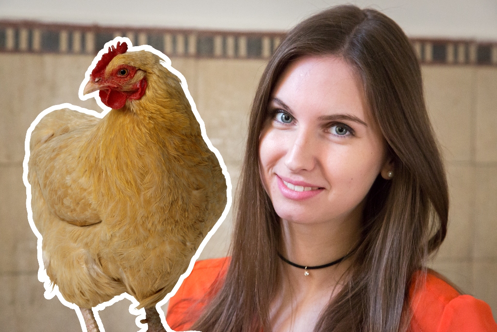 Megkóstolnád Juli sajtos sült csirkemellét?