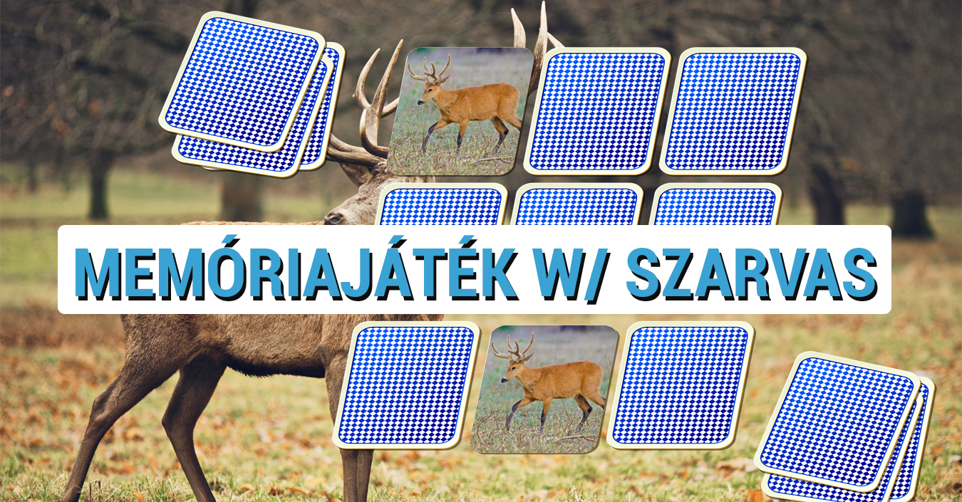 Memóriajáték w/ szarvas