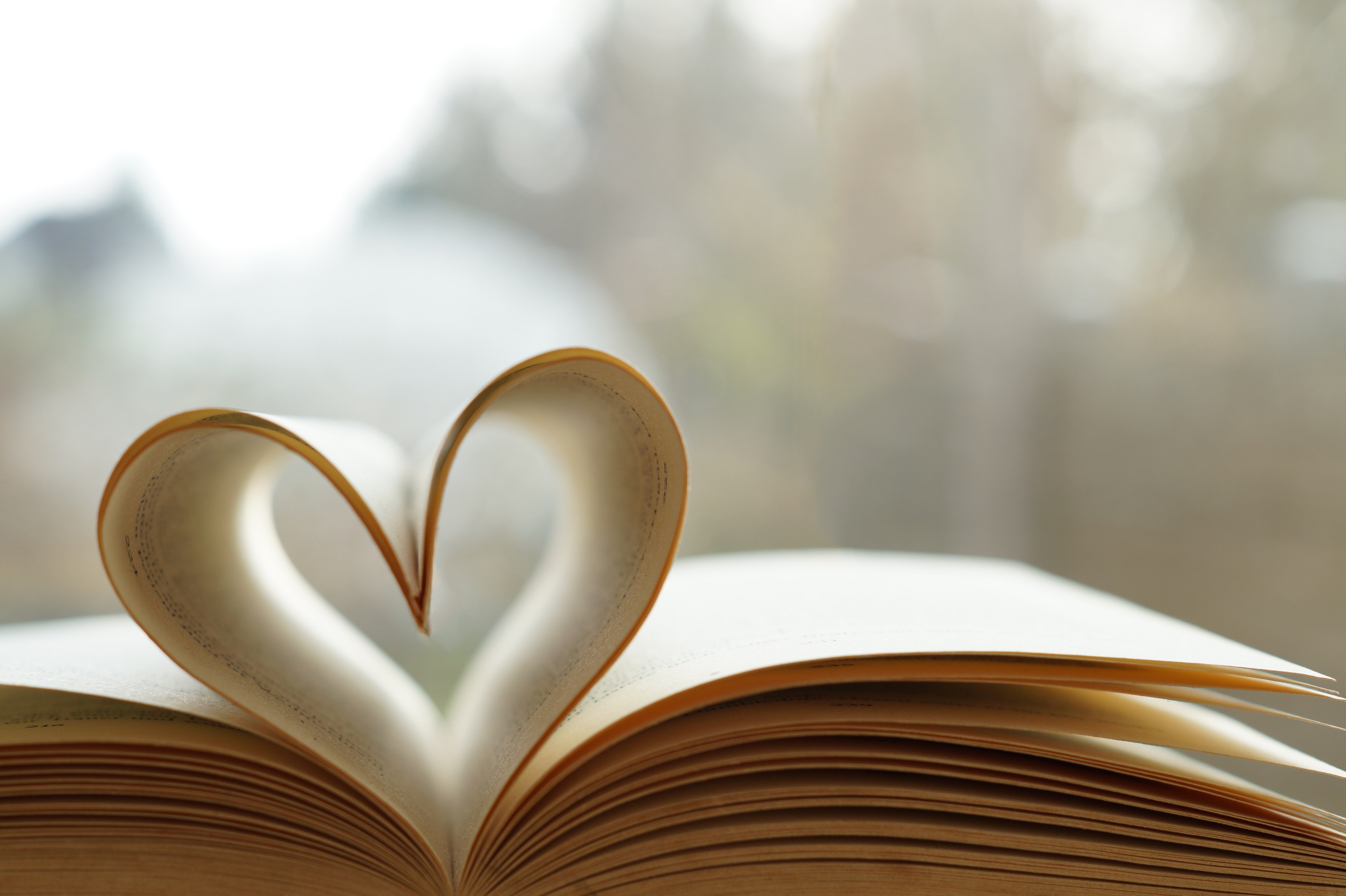 Good books for c. Сердце из книг. Фон книги. Книга сердце. Сердце из страниц книги.