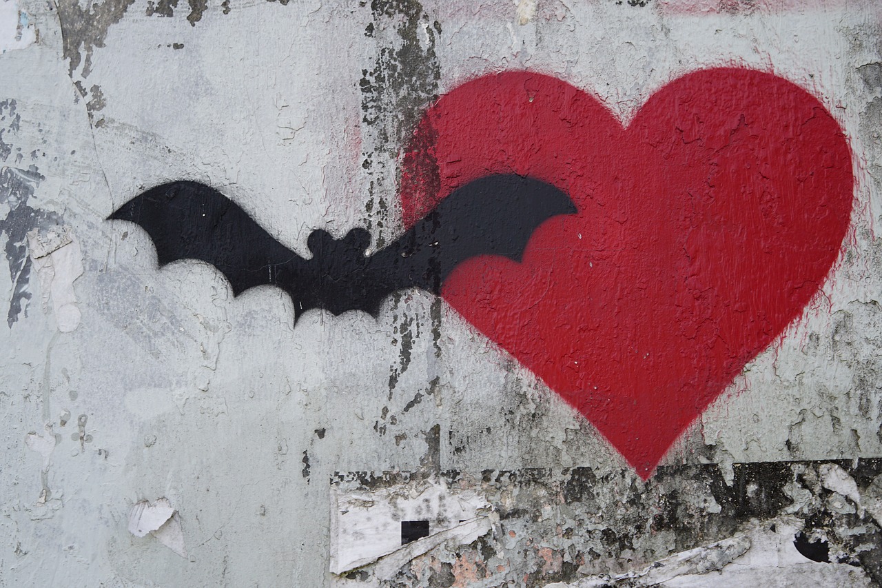 BAT4MAN | Denevérvédelmi projekt indul