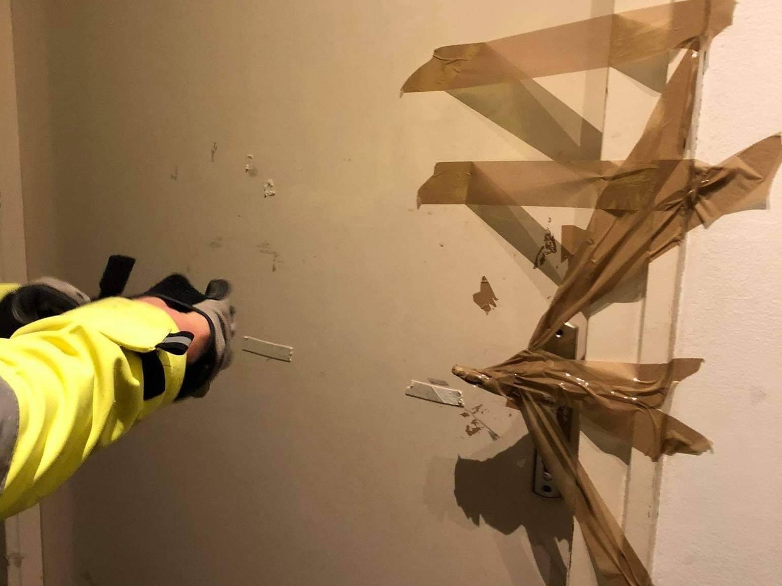 Spriccelő vérnyomok! Saját macskája tört az életére egy budapesti nőnek