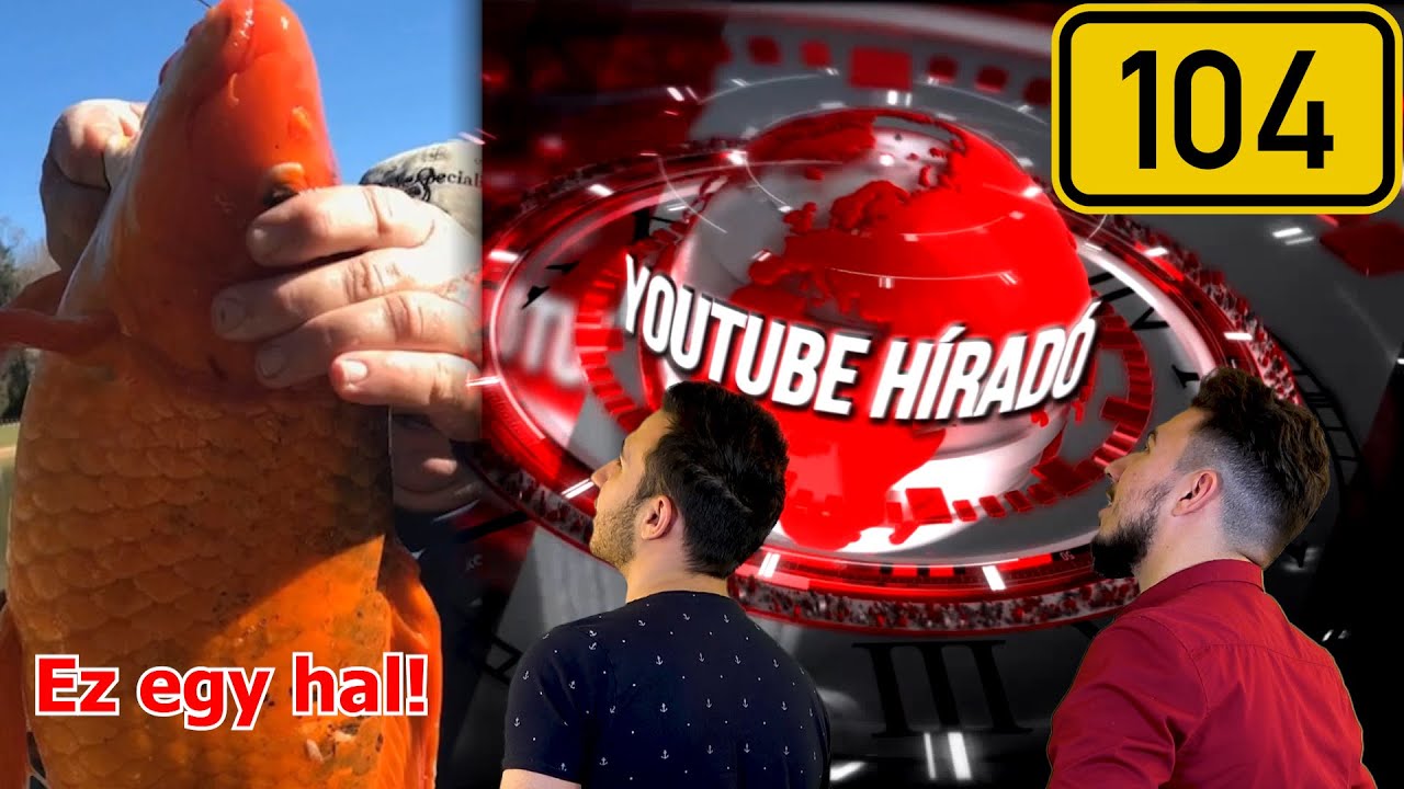 Ez a hal tényleg aranyból van? – YouTube híradó 104. adás