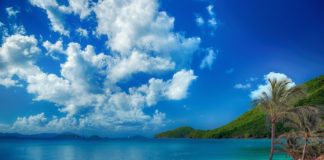 Ezért szűnnek meg a paradicsomok